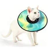 Adjustable Cat Harness and Leash Set — Escape Proof — collection imagery