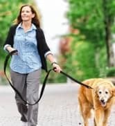 Large Collapsible Dog Bowls 2 Pack — 34oz Foldable Dog Travel Bowl — collection imagery
