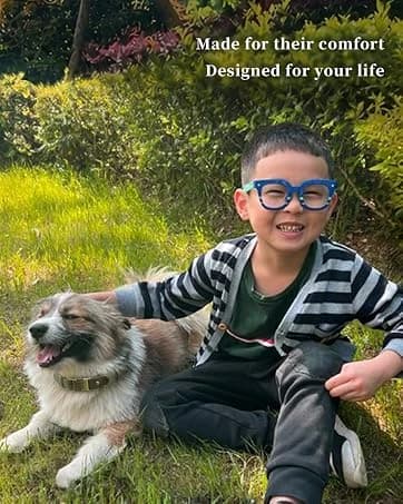 PU Leather Dog Collar for Medium Dogs — Soft Nylon Lining — collection imagery