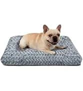 Dog Harness — No Pull Pet Vest for Large Dog — collection imagery