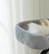 Cat Tunnel S Shape Cat Tunnels for Large and Indoor Cats 51”Long — collection imagery