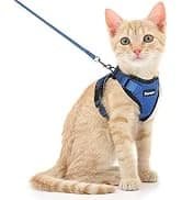 Cat Harness and Leash Set — Adjustable Pet Straps — collection imagery