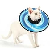 Adjustable Cat Harness and Leash Set — Escape Proof — collection imagery