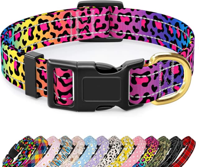 Adjustable and Reflective Dog Collar for Medium Dogs