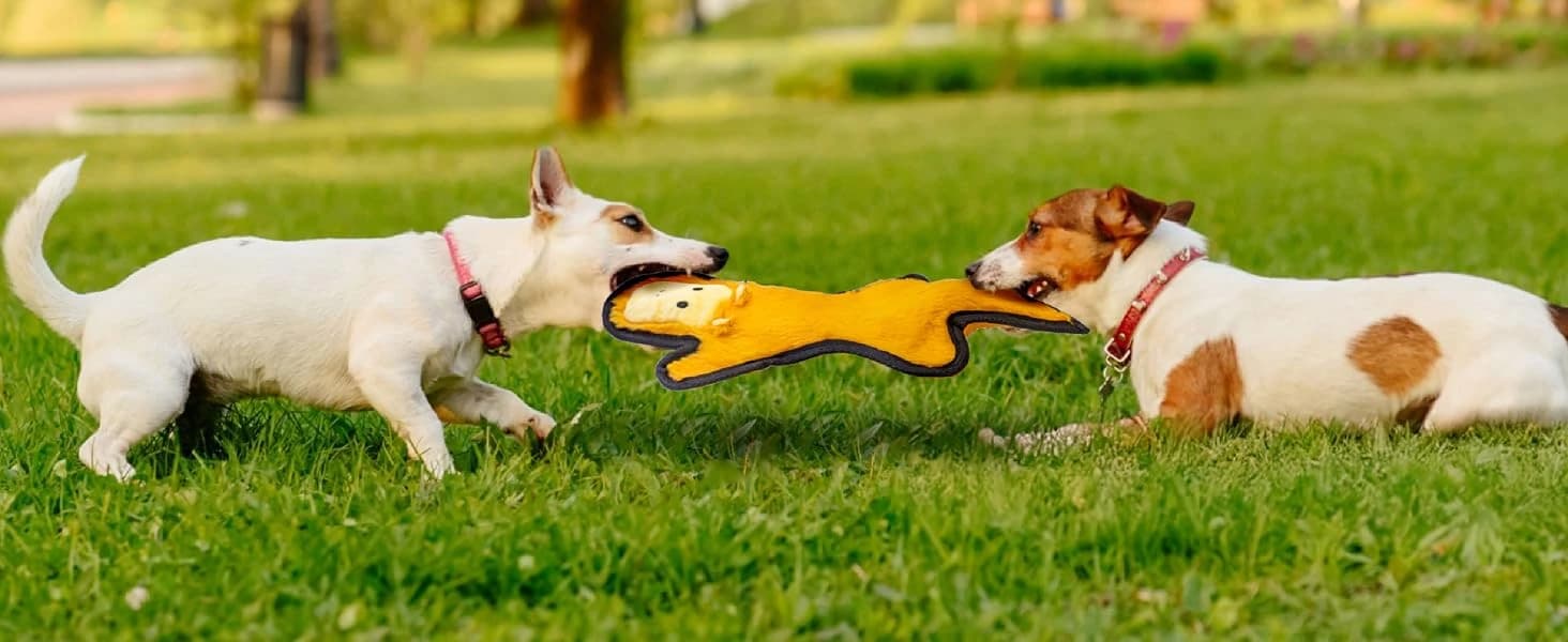No Stuffing Dog Toys Crinkle Squeaky — product details