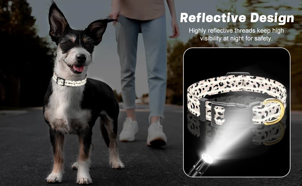 Adjustable and Reflective Dog Collar for Medium Dogs — product details