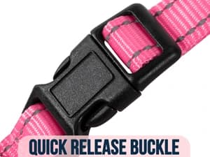 Small Dog Harness and Leash Set — FEATURES