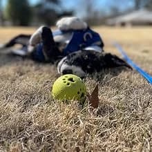 Waterproof Long Dog Leash Recall Training Lead 5 10 16 30 50 Foot for Large Medium Small Dogs Outdoor Training — product details