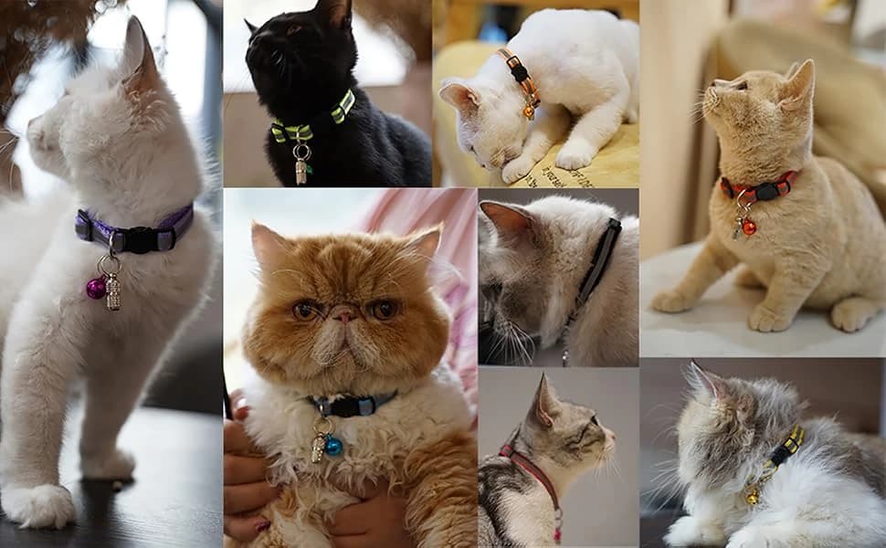 12 Pack Reflective-Breakaway Cat Collars with Bells — Why choose collars?