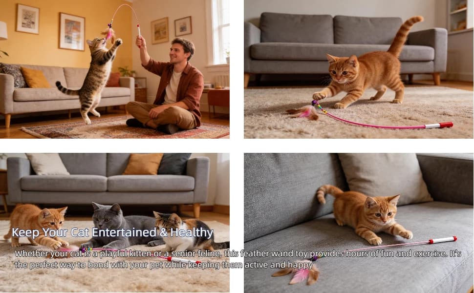 Cat Feather Wand Toy - Steel Wire Feather Interactive Cat Stick Training - Beads Bells Kitten Wand Toys Pet â product details