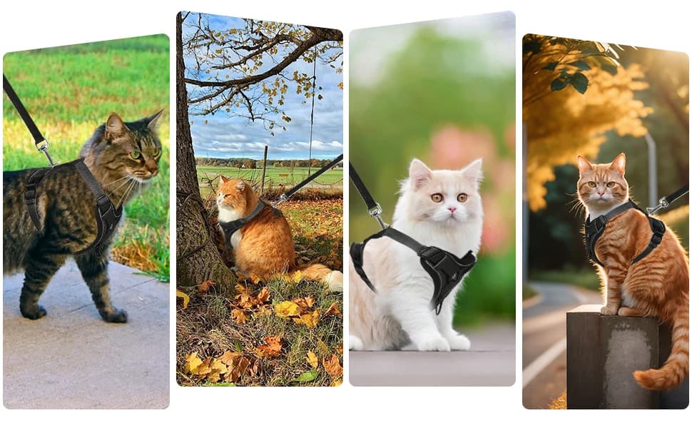 Cat Chest Harness and Leash Set Adjustable Anti-Escape Soft Mesh Cat Vest for Walking Outdoor(Blcak — product details