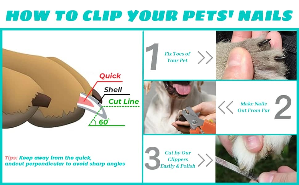 Dog Nail Trimmers #767C — Large and Small Breed Pet Nail Clippers — product details