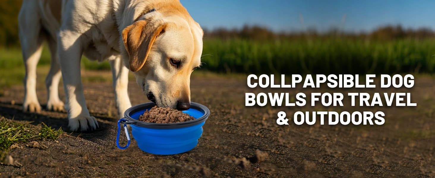 Dog Bowl Pet Collapsible Bowls — product details