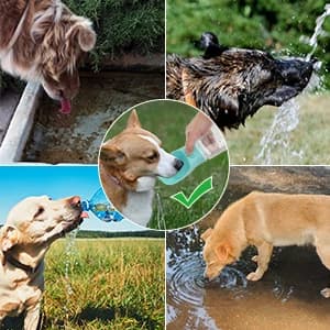 Dog Water Bottle, Leak Proof Portable Puppy Water Dispenser with Drinking Feeder for Pets Outdoor Walking — Why need to bring a dog water bottles for walking to your dog while outdoor?
