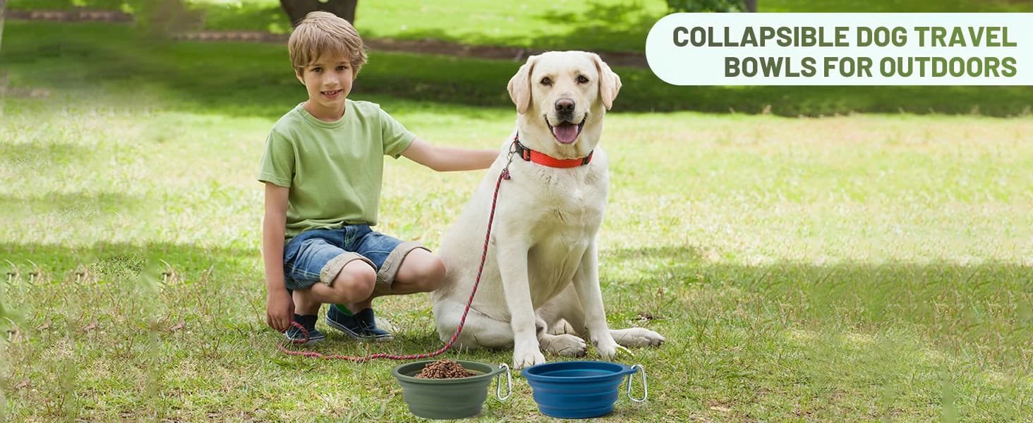 2Pack Collapsible Dog Bowl, Integrated Molding Travel Bowl No Plastic Rim Pet Feeding Bowls for Walking — product details