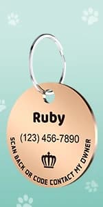 Stainless Steel QR Code Pet ID | Dog and Cat Collar Tag | Personalized Online Profile | Scanned Location Alert — product details