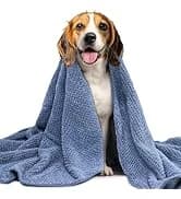 Pet Hair Removal Glove for Dogs and Cats — collection imagery