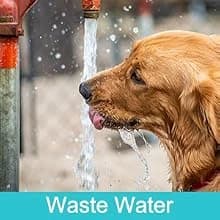 Portable Dog Water Bottle — 14 OZ Stainless Steel Pet Water Dispenser — Best Travel Companion