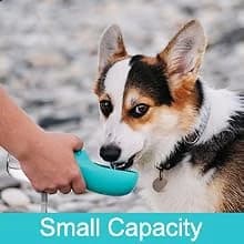 Portable Dog Water Bottle — 14 OZ Stainless Steel Pet Water Dispenser — Best Travel Companion