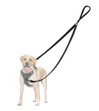 2-Pack Silicone Collapsible Dog Bowls — collection imagery