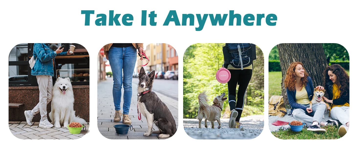 2-Pack Silicone Collapsible Dog Bowls — Happy Pets — Happy Life