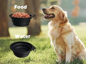 2-Pack Silicone Collapsible Dog Bowls — Easily Adjust to — 3 Sizes