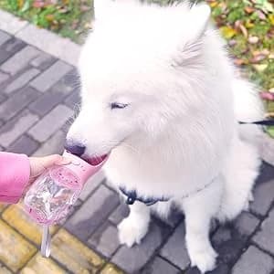 Dog Water Bottle — Leak Proof Portable Pet Water Bottles for Dogs — collection imagery