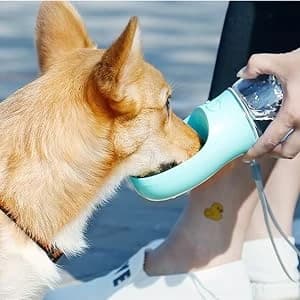 Dog Water Bottle — Leak Proof Portable Pet Water Bottles for Dogs — collection imagery