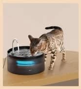 Cat Water Fountain Filters — Pet Water Fountain Replacement Filter — collection imagery