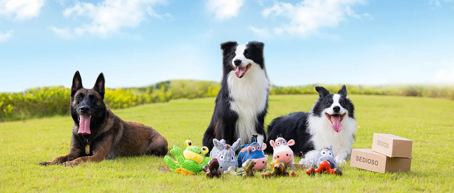 Dog Toy — Large Dog Squeaky Toys — collection imagery