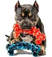 Dog Squeaky Toys Stretchable Crocodile for Interactive Tug of War — collection imagery