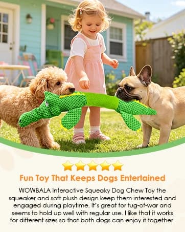 Dog Squeaky Toys Stretchable Crocodile for Interactive Tug of War — collection imagery