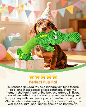 Dog Squeaky Toys Stretchable Crocodile for Interactive Tug of War — collection imagery