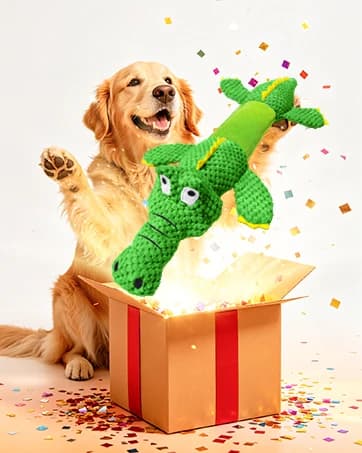 Dog Squeaky Toys Stretchable Crocodile for Interactive Tug of War — collection imagery