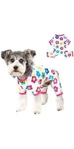 Sleeveless Turtleneck Knit Sweater for Small Dogs and Cats — product details