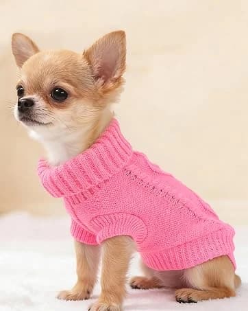2 Pack Dog Sweaters for Small Dogs — Chihuahua Yorkie Sweater — collection imagery
