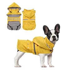Dog Zip Up Raincoat with Reflective Buttons — collection imagery