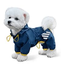 Dog Raincoat — Waterproof Dog Rain Jacket with Hood — collection imagery