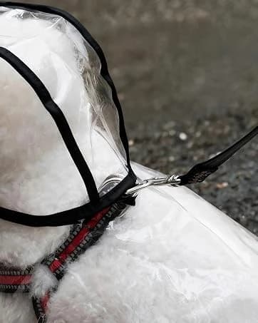 Transparent Dog Rain Poncho for Small and Medium Dogs - Thick Waterproof Raincoat with Hidden Leash Hole & — collection imagery