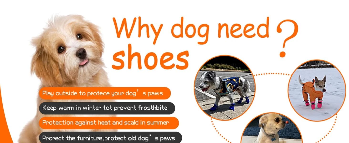 Dog Shoes for Small Dogs â Puppy Boots and Paw Protectors â product details