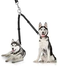 Dog Shoes for Small Dogs â Puppy Boots and Paw Protectors â collection imagery