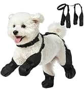 Dog Shoes for Large Medium Dogs — Dog Boots for Hot Pavement Size6 — collection imagery