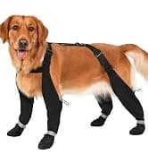 Dog Shoes for Large Medium Dogs — Dog Boots for Hot Pavement Size6 — collection imagery
