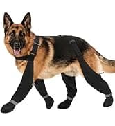Dog Shoes for Large Medium Dogs — Dog Boots for Hot Pavement Size6 — collection imagery