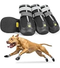 Dog Shoes for Large Medium Dogs — Dog Boots for Hot Pavement Size6 — collection imagery