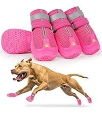 Dog Shoes for Large Medium Dogs — Dog Boots for Hot Pavement Size6 — collection imagery