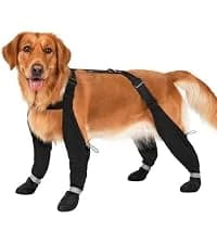 Dog Shoes for Winter Snow Waterproof Dog Boots with Fleece Lining — collection imagery