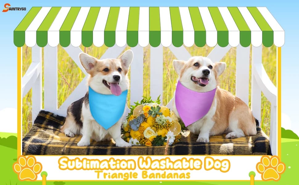 20 Pcs Plain Dog Bandana Bulk for Puppy Dog — product details