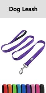 Reflective Dog Collar — Adjustable Nylon for Medium Dogs — product details