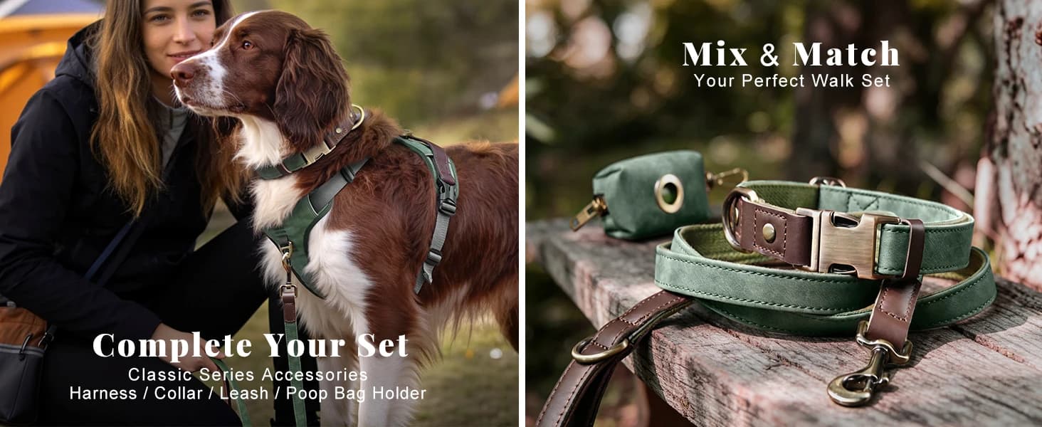 PU Leather Dog Collar for Medium Dogs — Soft Nylon Lining — product details